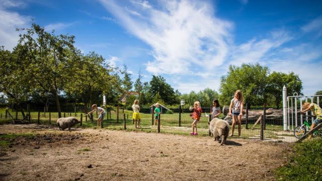 Welcome In - Oranjezon - Vakantiehuis 6 Personen Vrouwenpolder Eksteriør bilde